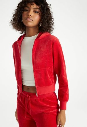 Velour Cropped Hoodie