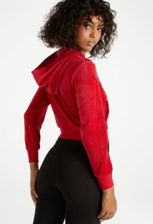 Velour Cropped Hoodie