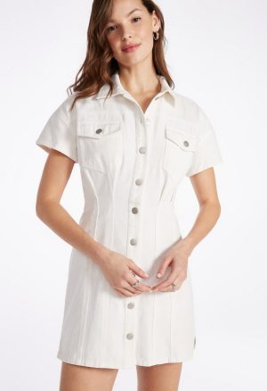 Seamed Denim Mini Dress