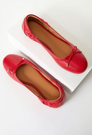 Andi Ballet Flat