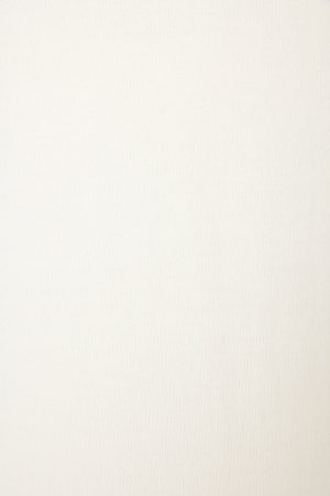 Feline Festive Cat Print Sweater